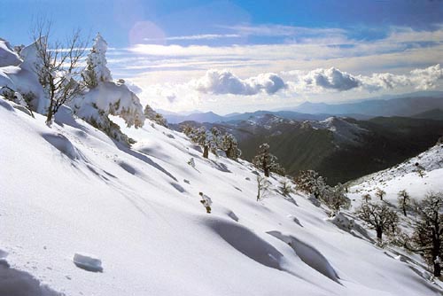 Sierra de las Nieves