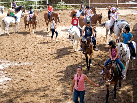 Salamanca Summer Camp